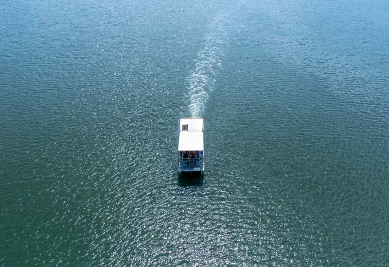 44975-82a92583-184d-411f-8c2e-dea99962606d-fullsize