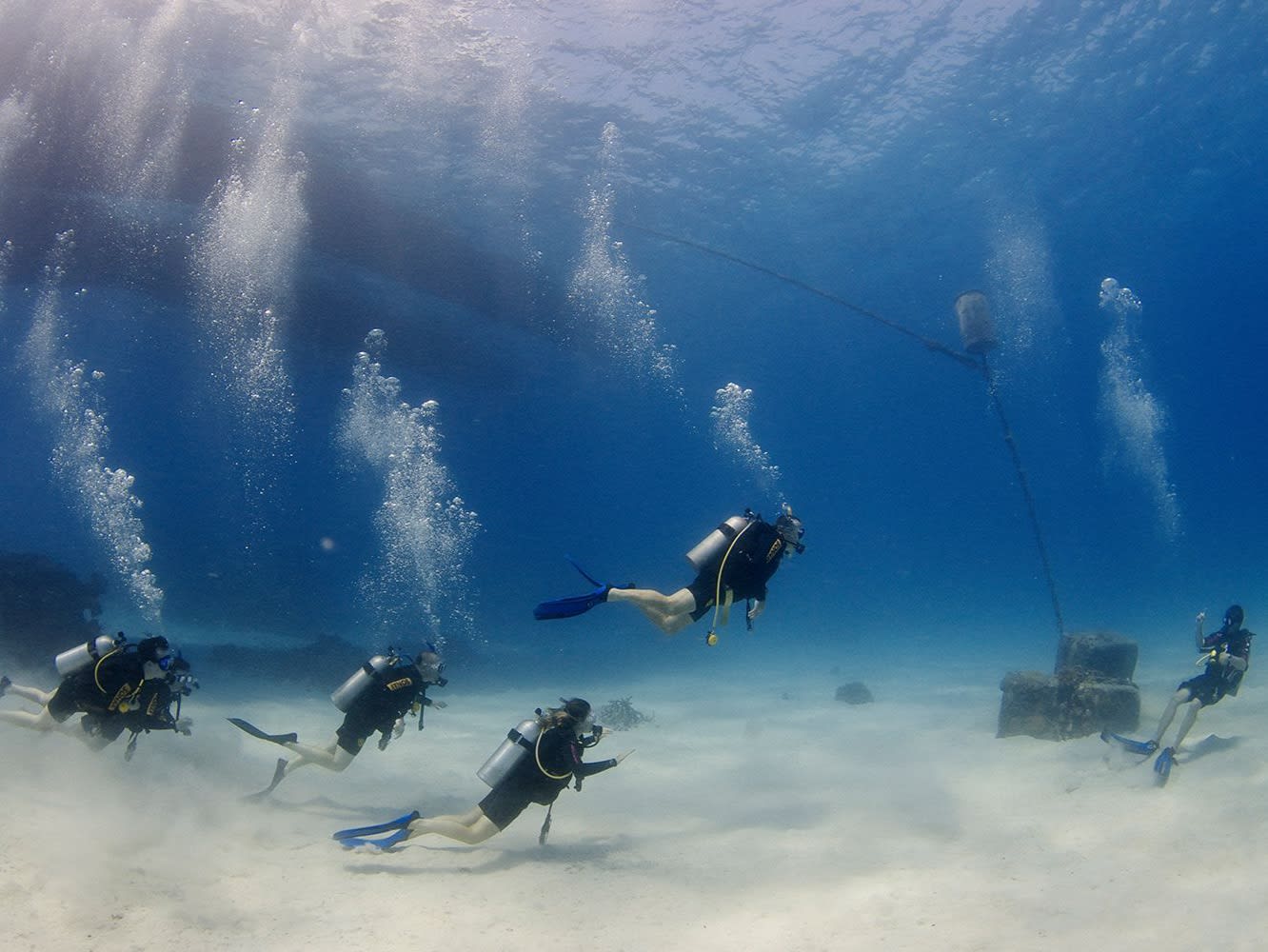 Five-Day Open Water Course – OceanQuest, Two Nights, Twin Share