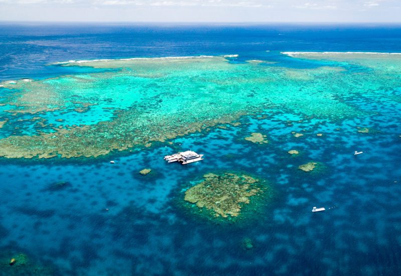 Quicksilver boat and pontoon at Agincourt Reef off Port Douglas