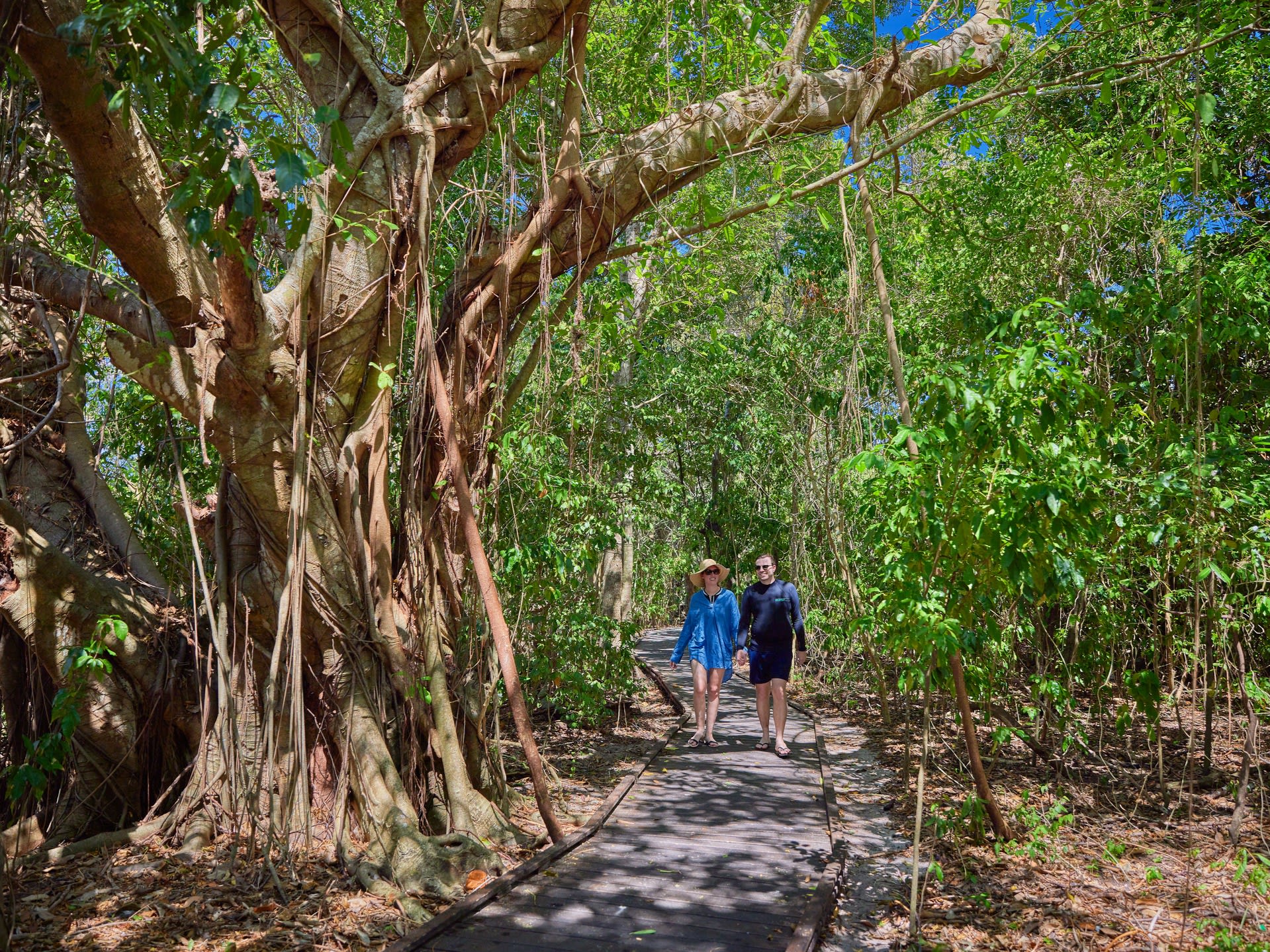 Green Island Morning Half-Day Tour – Big Cat